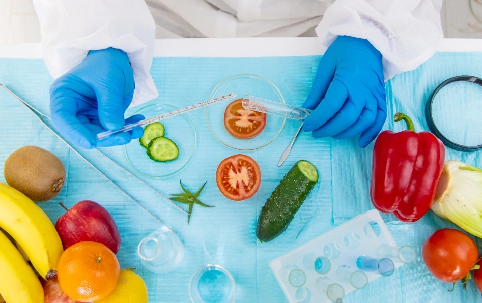 Food safety laboratory testing vegetables and fruits for quality and contamination.