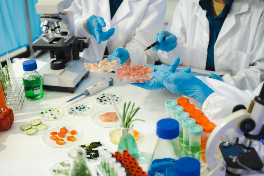 Scientists analyzing food samples in a laboratory to identify potential chemical and biological hazards.