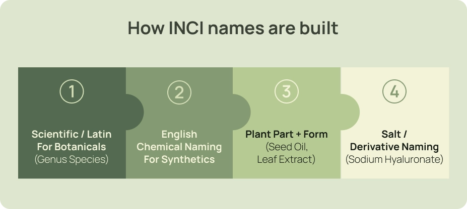 Puzzle-piece infographic showing how INCI names are formed using scientific/Latin botanical names, English chemical naming, plant part + form, and salt/derivative naming.