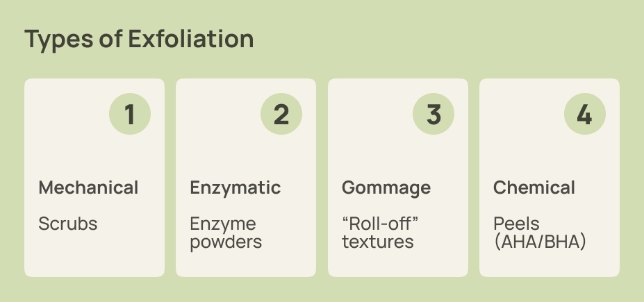 Infographic listing four types of exfoliation: mechanical, enzymatic, gommage, and chemical.