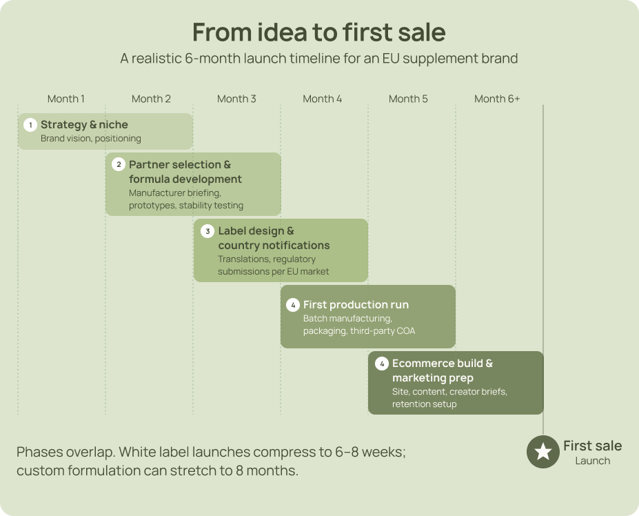 Six-month launch timeline from supplement brand idea to first sale in Europe