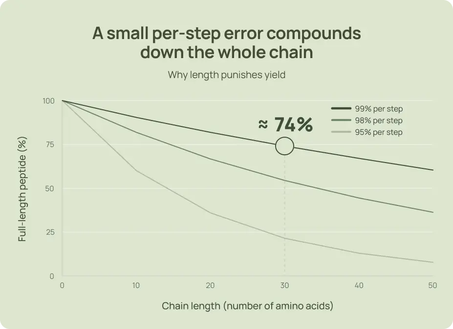 Chart showing how small coupling errors reduce full-length peptide yield as chain length increases.