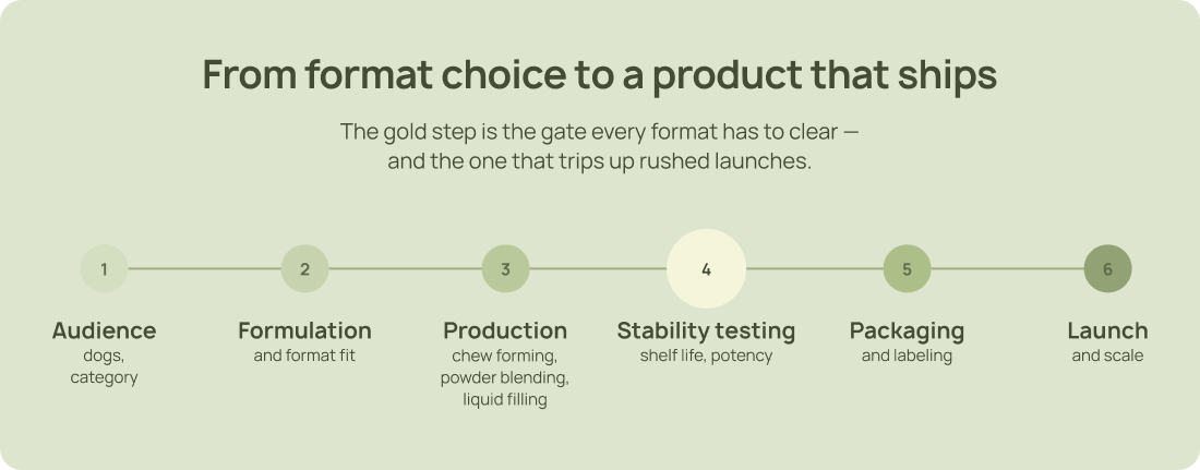 Six-step dog supplement development process: audience, formulation, production, stability testing, packaging, and launch