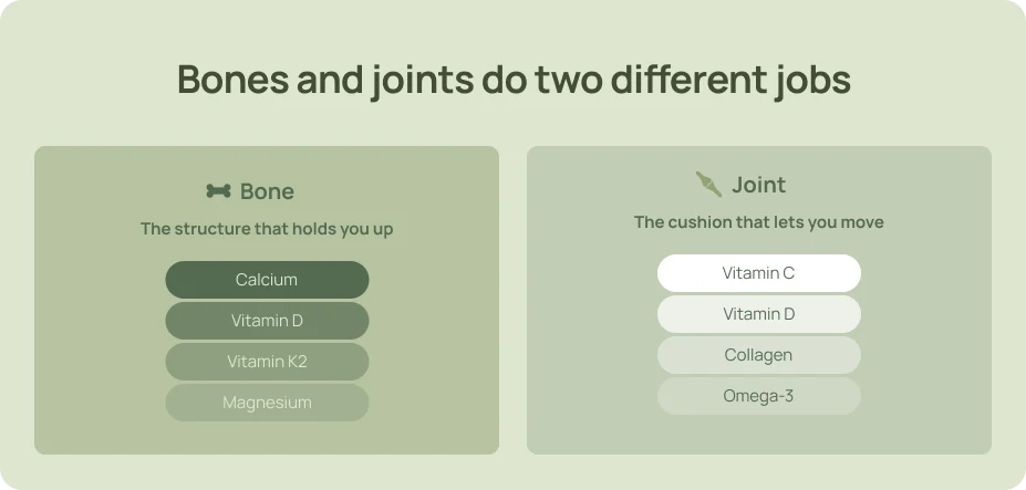 Infographic comparing bone nutrients calcium, vitamin D, K2 and magnesium with vitamin C, D, collagen and omega-3 for joints